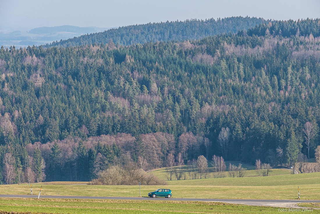 Foto: Martin Zehrer - The green beauty! ;-)<br />
<br />
Samstag, 23. März 2019 - Entdecke den Armesberg!<br />
<br />
Das Wetter war einmalig. Angenehme Wärme, strahlende Sonne, die Feldlerchen flattern schreien 