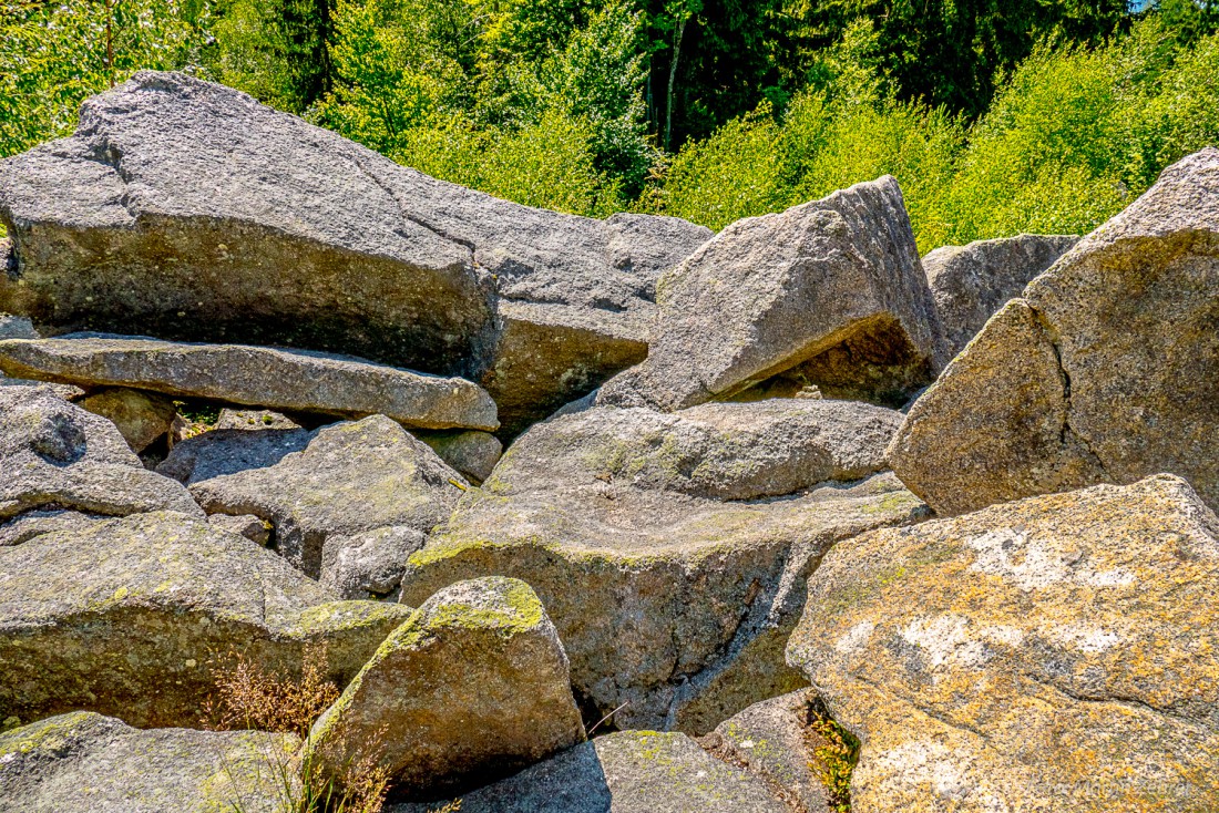 Foto: Martin Zehrer - Steine, Steine und noch mehr Steine. Der Steinwald ist übersät mit zahlreichen Steinen :-) 