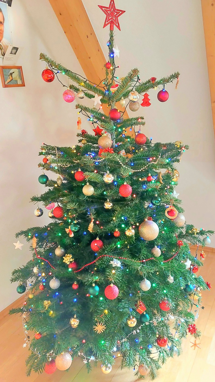 Foto: Martin Zehrer - Unser Weihnachtsbaum mit Charakter! ;-) <br />
Am Sonntag, den 12.12.2021 aufgestellt und hält sich vorbildlich. Kein Nadeln, nur zufriedenes, herzliches  Lächeln gibt er von  