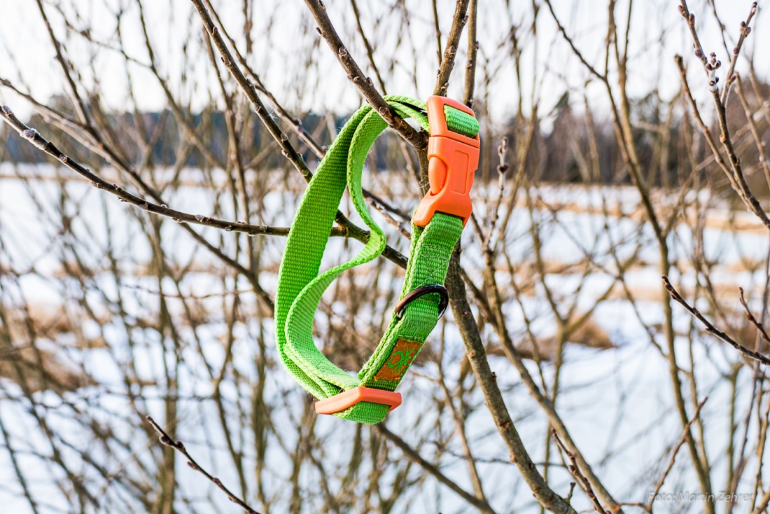 Foto: Martin Zehrer - Wem gehört dieses Halsband? Es hängt an einem Bäumchen ca. 50 Meter vor der Himmelsleiter.<br />
<br />
Weiter gehts, wenn Du aufs Bild klickst!!! 