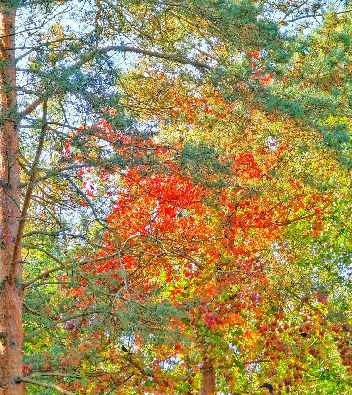 Foto: Jennifer Müller - Tolle Herbstwanderung am 08.10.2021 bei herrlichem Sonnenschein und ca. 14 Grad. Das Licht und die Farben sind zu dieser Jahreszeit richtig magisch... 