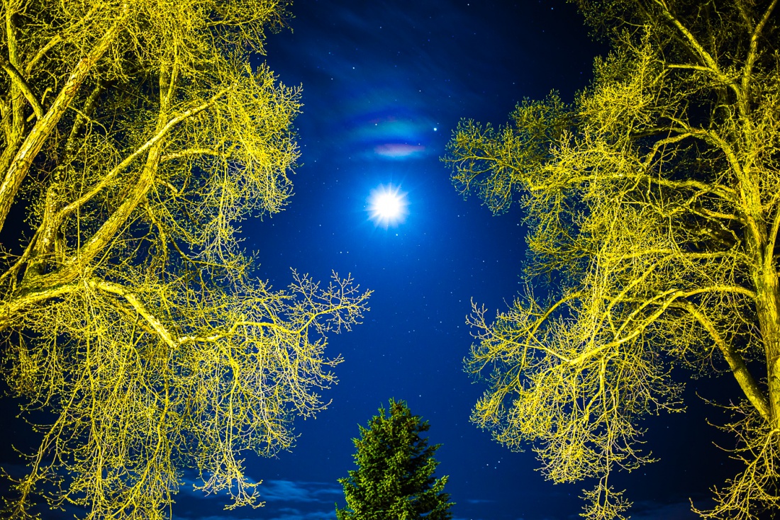 Foto: Martin Zehrer - Märchenwelt...<br />
<br />
Der wunderbare Blick ins Firmament! 