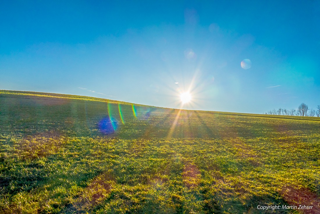 Foto: Martin Zehrer - Unfassbar - Der Blick in die Winter-Sonne weckt Frühlingsgefühle :-D  