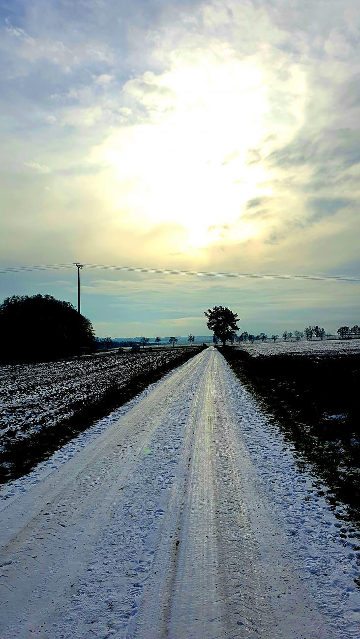 Foto: Martin Zehrer - Unterwegs zu Schickers Hühner-Paradies bei Kemnath :-)<br />
Das Wetter: ca 1-2 Grad plus, verschleierte Sonne, dünne Schneedecke<br />
<br />
5.12.2020 