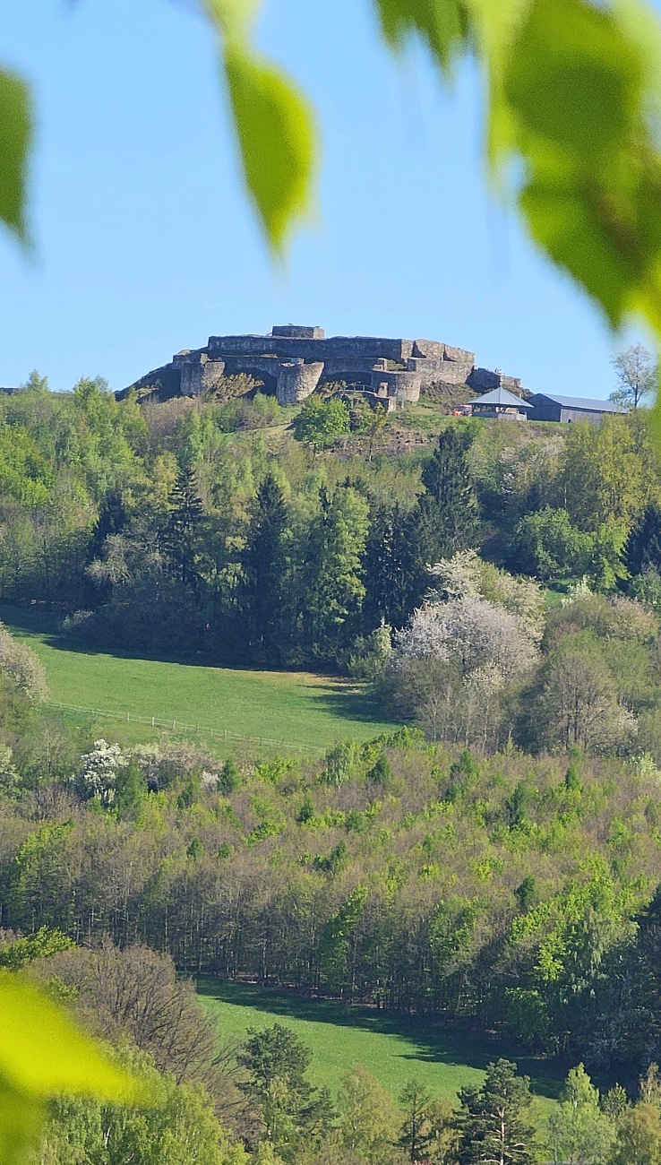 Die Burg-Ruinen auf dem Schlossberg bei Waldeck.
Vom Anzenstein aus fotografiert...
