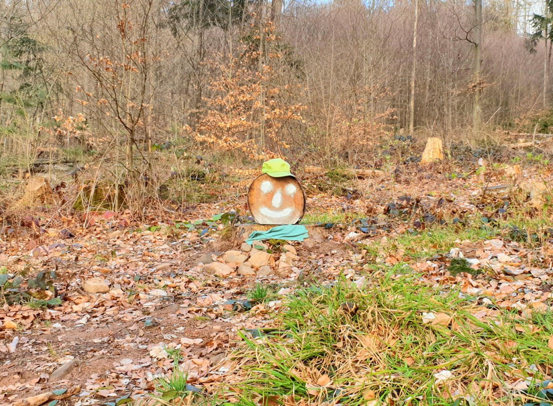 Foto: Martin Zehrer - Geheimnissvolle Kreaturen im Wald am Rauhen Kulm 