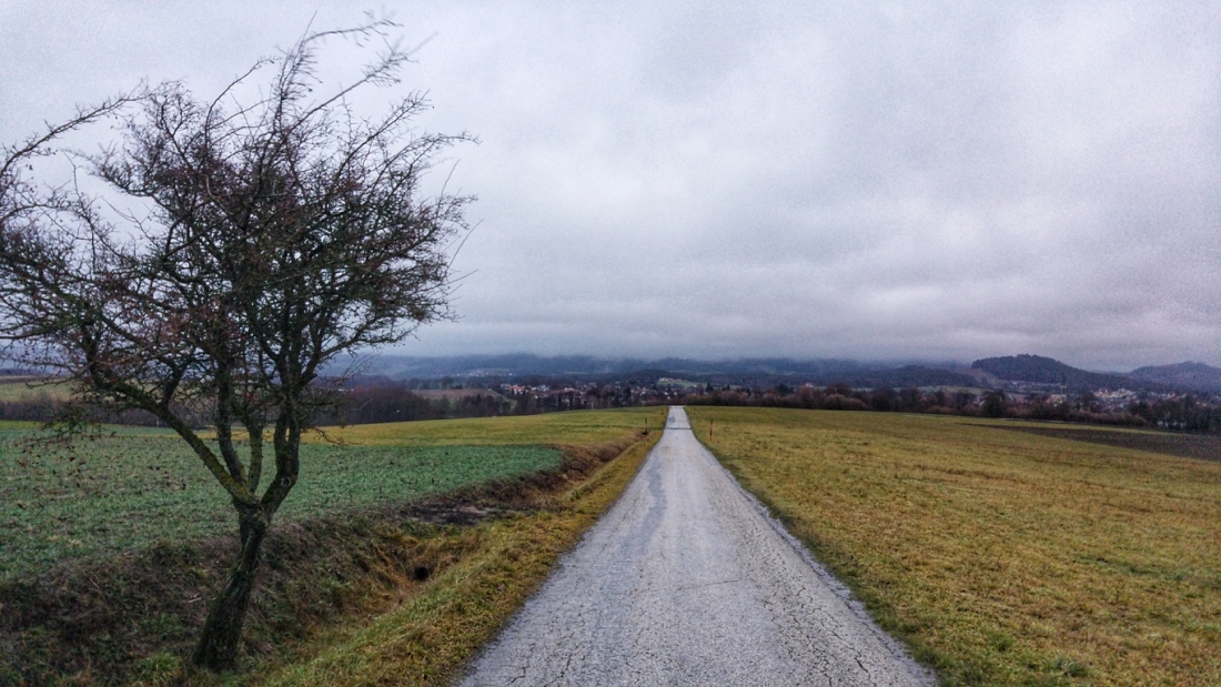Foto: Martin Zehrer - Neujahrs-Lauf 4,9km - Der Weg ist das Ziel, das Wetter am 1. Januar 2019 ganz bstimmt nicht... ;-) 