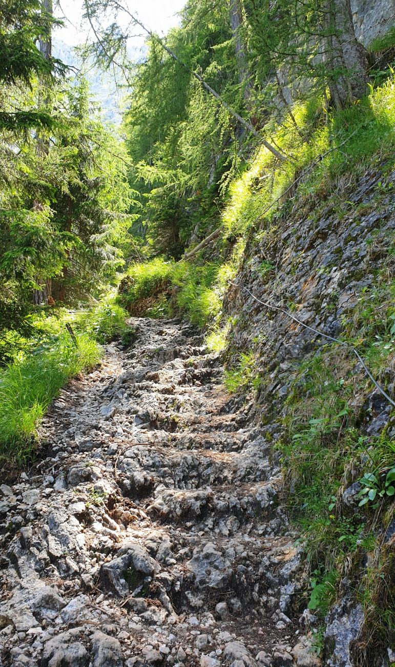 Foto: Martin Zehrer - Nur schwer zu erkennen, aber das Sicherungsseil rechts an der Felswand, hat seinen Sinn.<br />
Zum einen ist der Aufstieg hier extrem steil, zum anderen geht es links vom Pfad 