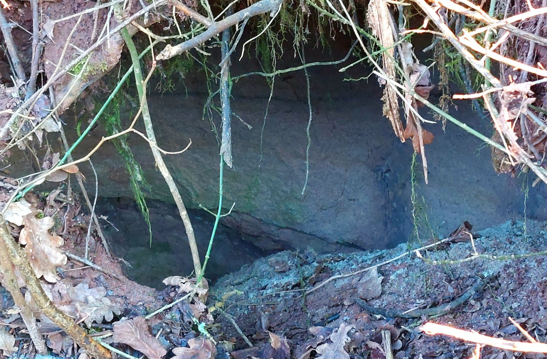 Geheime Bauwerke unter der Erde...
Hier dürfte ein Teil eines Kellers oder einer Höhle sichtbar sein.
Bei näherem hingucken zeigt sich, dass ein kleiner Tunnel im Hang entlang läuft. 