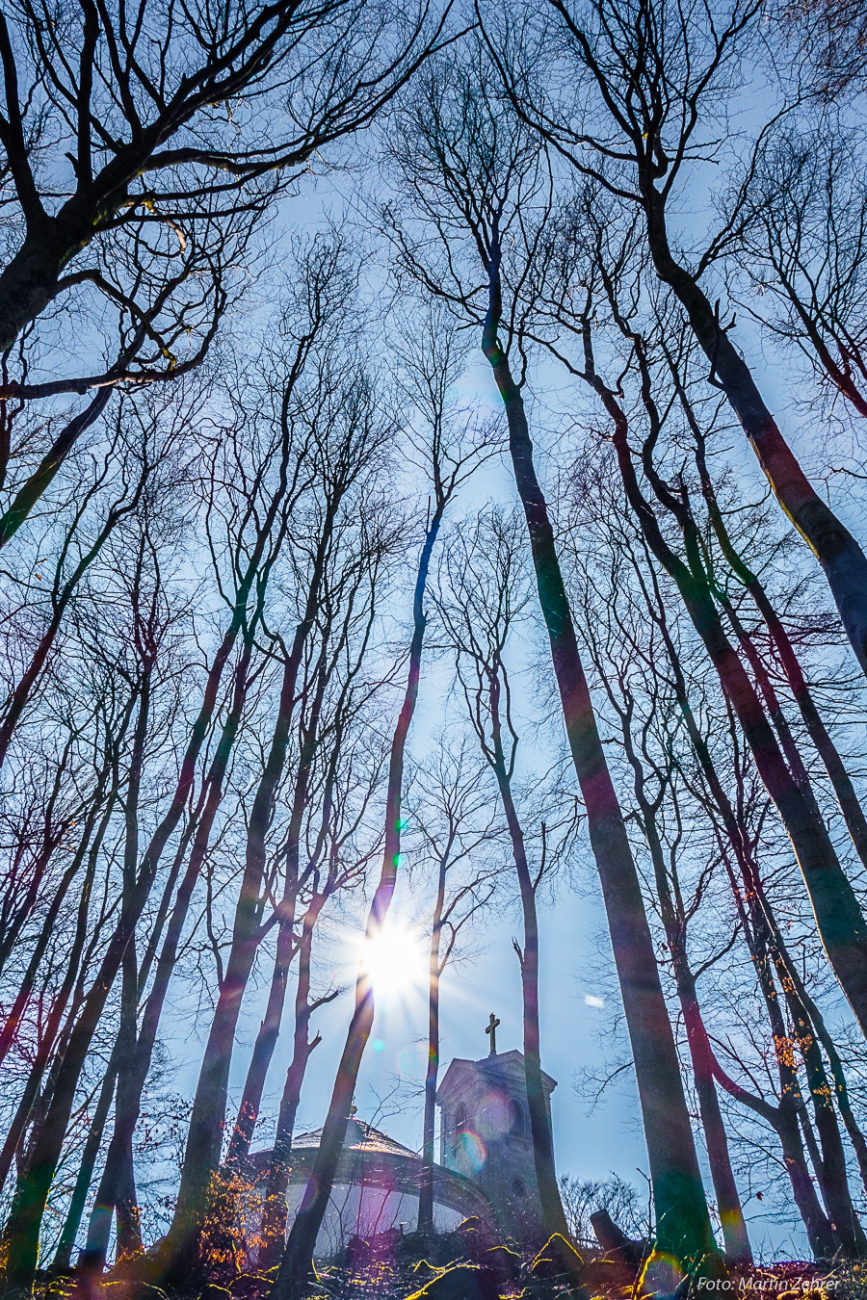 Foto: Martin Zehrer - Unfassbar und unglaublich...<br />
<br />
Samstag, 23. März 2019 - Entdecke den Armesberg!<br />
<br />
Das Wetter war einmalig. Angenehme Wärme, strahlende Sonne, die Feldlerchen flattern s 
