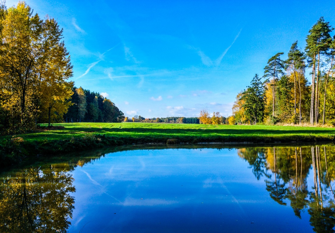 Foto: Martin Zehrer - Himmelblau im Herbst ;-) 