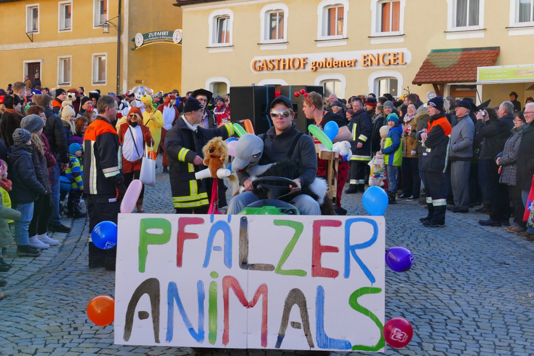 Foto: Martin Zehrer - 44. Faschingszug durch Waldeck am 7. Februar 2016!<br />
<br />
Tanzen, lachen und Gaudi machen ;-)<br />
<br />
Viele Gaudiwagen und unzählige Besucher trafen in Waldeck aufeinander.<br />
Die M 
