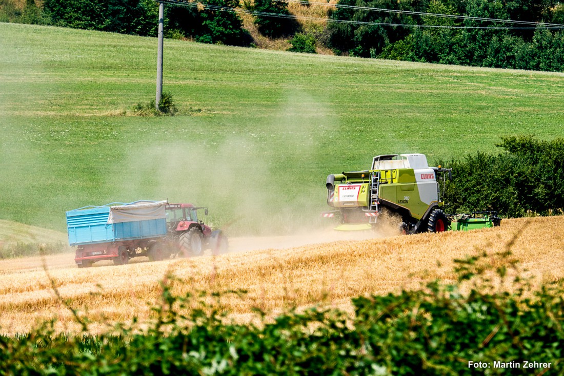 Foto: Martin Zehrer - Man at work :-) Landwirte dreschen ihre Felder ab.  
