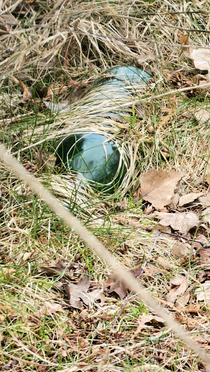 Flasche - eingewachsen...