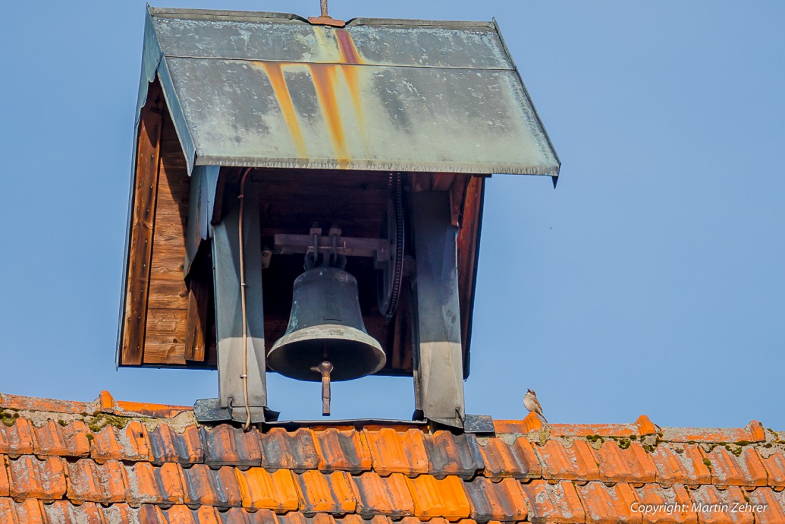 Foto: Martin Zehrer - Das Vögelchen und die Hausglocke ;-)<br />
<br />
Nicht wirklich ein optimaler Platz zum Nestbauen?! 