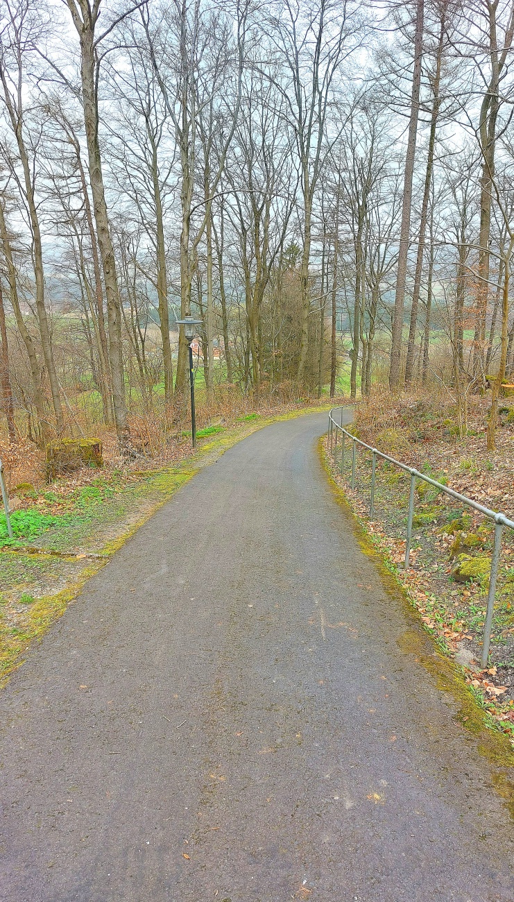 Foto: Martin Zehrer - Es gibt eine Treppe, die vom Parkplatz zur Wallfahrtskirche Armesberg hoch führt und es gibt diesen   geteerten Weg hoch zur Kirche. 