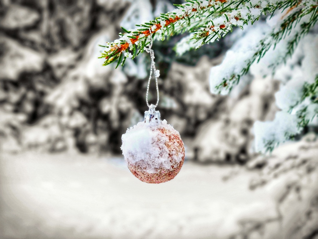 Foto: Jennifer Müller - Es hat wieder geschneit :-)<br />
Nichts wie raus in die wunderschöne Natur!<br />
Heut gehts rauf zur Burgruine Weißenstein. Auf krachendem Schnee durch den Winter-Weihnachts-Wald 