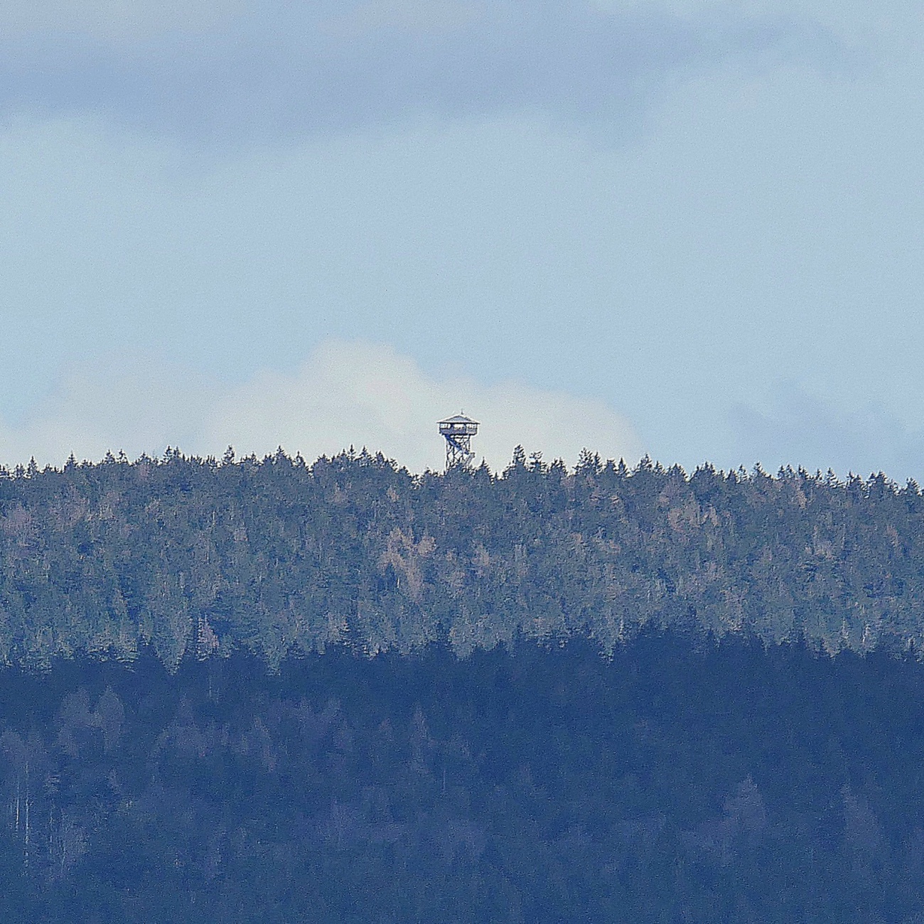 Foto: Martin Zehrer - Der Oberpfalz-Turm übern Steinwald, von Godas aus fotografiert... 