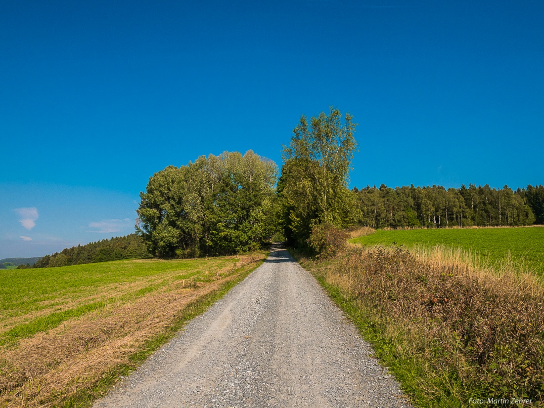 Foto: Martin Zehrer - Der Weg von Neusteinreuth nach Godas - Auf ins Paradies! ;-) 