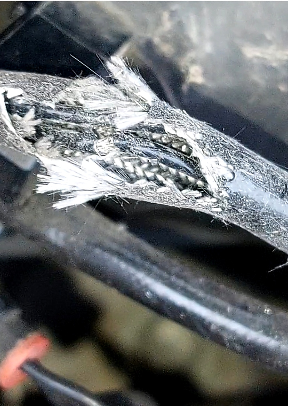 Mitsubishi Marderschaden