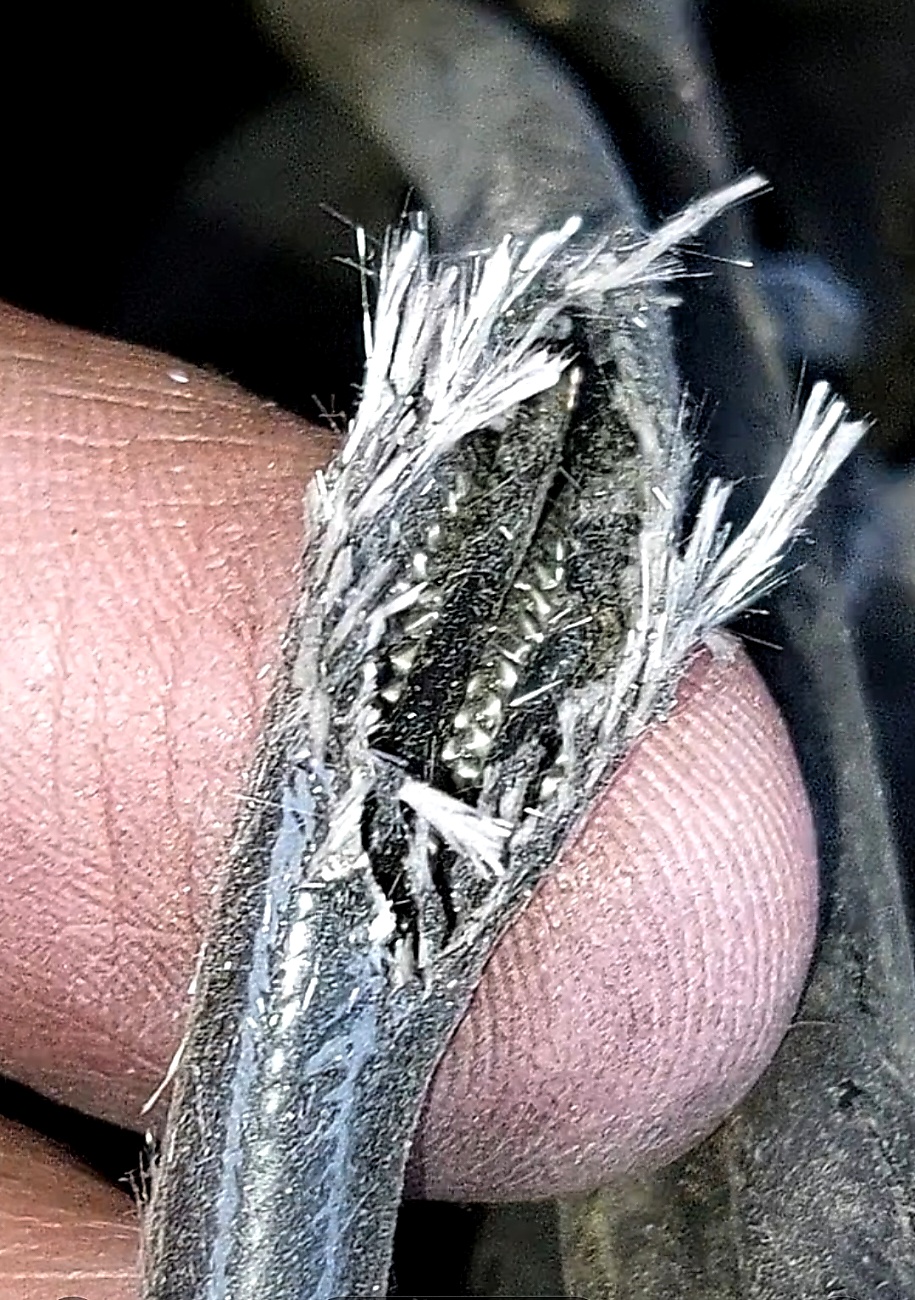 Mitsubishi Marderschaden