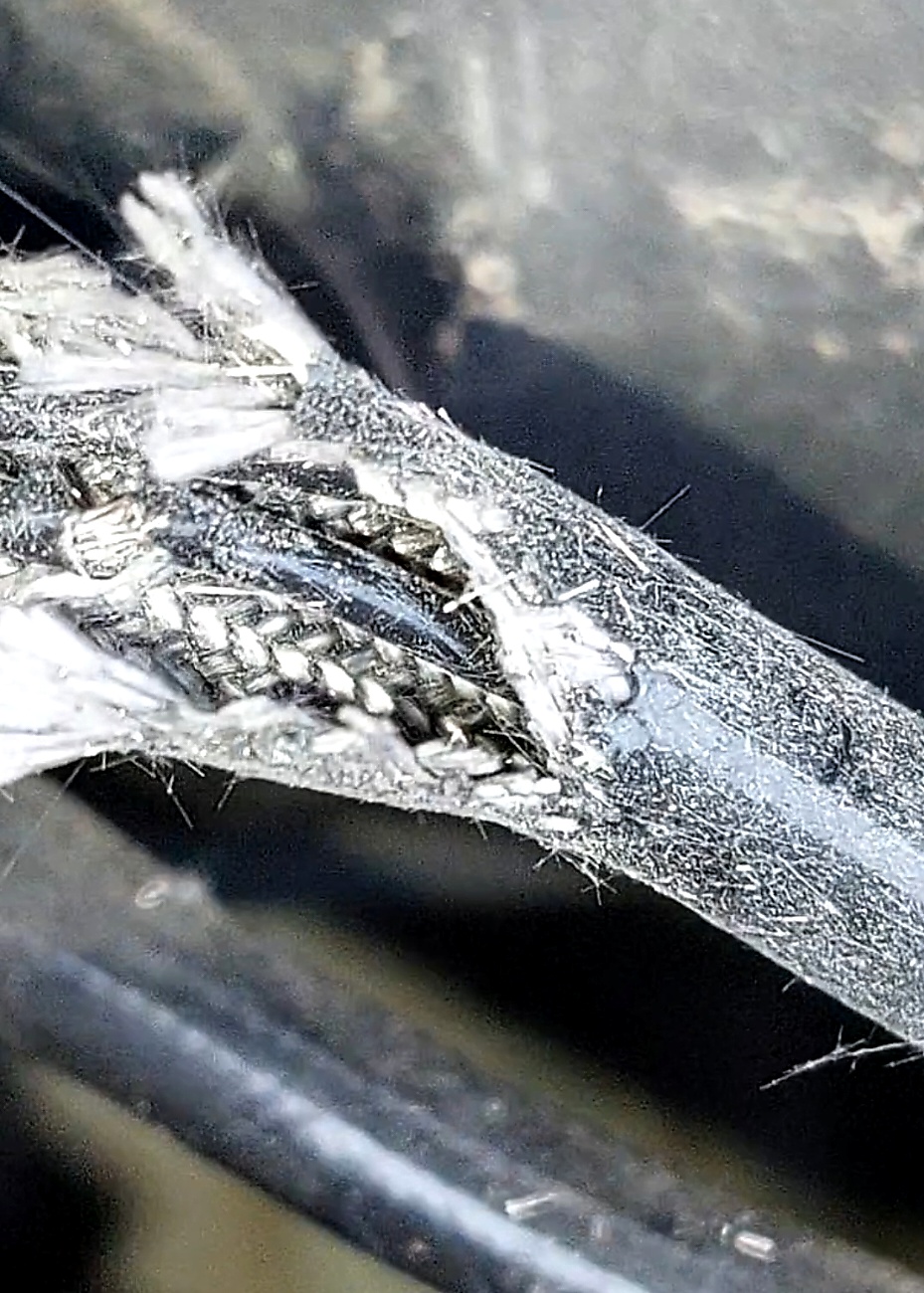 Mitsubishi Marderschaden