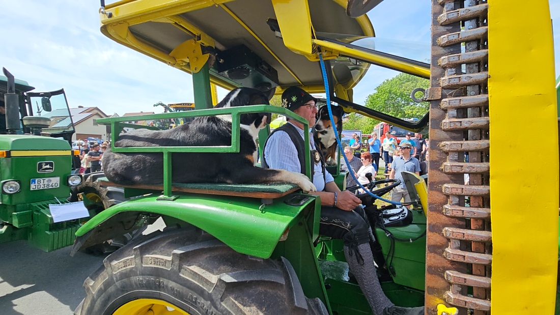 Bulldogtreffen in Kirchenpingarten... die Ausfahrt um 13:30Uhr.
Hunderte Oldtimer-Schlepper nahmen an der Rundfahrt teil.
Zahlreiche Besucher staunten und jubelten den Schleppern und deren Fahrern zu.