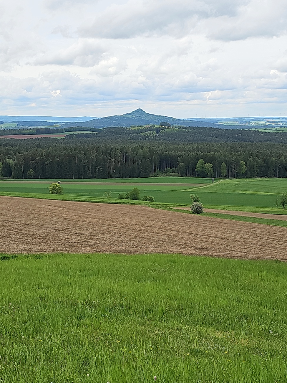 Der vulkankegel erhebt sich majestätisch, ein rauer Koloss in der sanften Umarmung des Nachmittagslichts. 
Grüne Wiesen breiten sich wie ein kunterbuntes Tuch unter dem blassen Himmel aus, während Wolken sanft dahingleiten. 
Die Wälder stehen wie ehrwürdige Wächter, ihre Baumkronen wispern Geschichten aus der Vergangenheit. 
Zwischen dem erdigen Boden und dem lebhaften Grün bahnt sich das Licht seinen Weg, die Natur spielt mit Farben und Formen. 
Hier, an diesem Ort, trifft die rauhe Schönheit des Vulkanberges auf die Zartheit der Umgebung.
