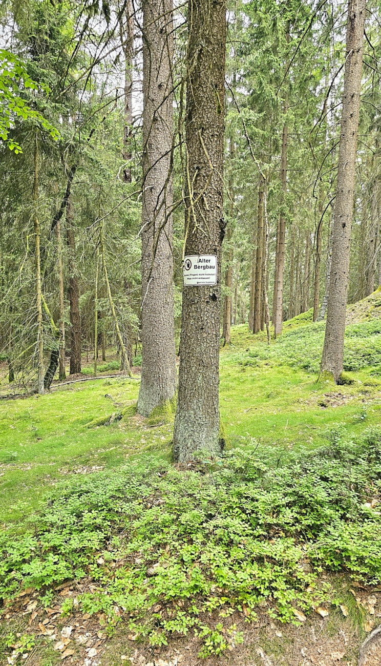 Wanderung zur Gänskopfhütte bei Kirchenpingarten...
Es gibt ca. 800 Meter unterhalb der Gänskopfhütte, nach der Ortschaft  Eckartsreuth,  einen Parkplatz fürs Auto.
Von dort aus gehts dann durch einen mit Stoff-Tieren geschmückten Wald.
Hat man den Anstieg bewältigt, erwartet einen oben die Hütte des FGV.
Betrieben wird diese Hütte mit einer innenliegenden Gaststube und mit Außenbewirtung durch Vereinsmitgliedern des FGV. 
Es gab Kaffee und verschiedene, leckere Kuchen, Bohnensuppe mit Würstchen, Brotzeiten, uvm. zur Auswahl.

Zufällig trafen wir auch noch auf einen herrenlosen, süßen Hund, der später von seinem Herrchen aus dem ca. 4 Kilometer entfernten Kirchenpingarten abgeholt wurde.
Bis zur Abholung hielten wir den Vierbeiner mit Würstchen aus meiner Bohnensuppe und einer geliehenen Hundeleine bei Laune.
Ausfindig gemacht wurde das Herrchen durch einen Aufruf und Bilder der netten Hütten-Wirtin in den sozialen Medien bzw. im FGV-Netzwerk.