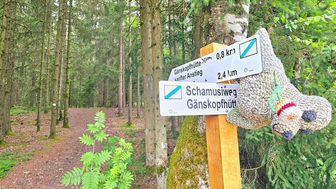 Wanderung zur Gänskopfhütte bei Kirchenpingarten...
Es gibt ca. 800 Meter unterhalb der Gänskopfhütte, nach der Ortschaft  Eckartsreuth,  einen Parkplatz fürs Auto.
Von dort aus gehts dann durch einen mit Stoff-Tieren geschmückten Wald.
Hat man den Anstieg bewältigt, erwartet einen oben die Hütte des FGV.
Betrieben wird diese Hütte mit einer innenliegenden Gaststube und mit Außenbewirtung durch Vereinsmitgliedern des FGV. 
Es gab Kaffee und verschiedene, leckere Kuchen, Bohnensuppe mit Würstchen, Brotzeiten, uvm. zur Auswahl.

Zufällig trafen wir auch noch auf einen herrenlosen, süßen Hund, der später von seinem Herrchen aus dem ca. 4 Kilometer entfernten Kirchenpingarten abgeholt wurde.
Bis zur Abholung hielten wir den Vierbeiner mit Würstchen aus meiner Bohnensuppe und einer geliehenen Hundeleine bei Laune.
Ausfindig gemacht wurde das Herrchen durch einen Aufruf und Bilder der netten Hütten-Wirtin in den sozialen Medien bzw. im FGV-Netzwerk.