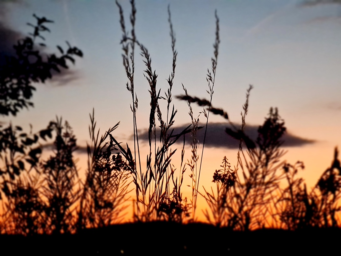 Sonnenuntergang, Natur und Technik... wunderschön!