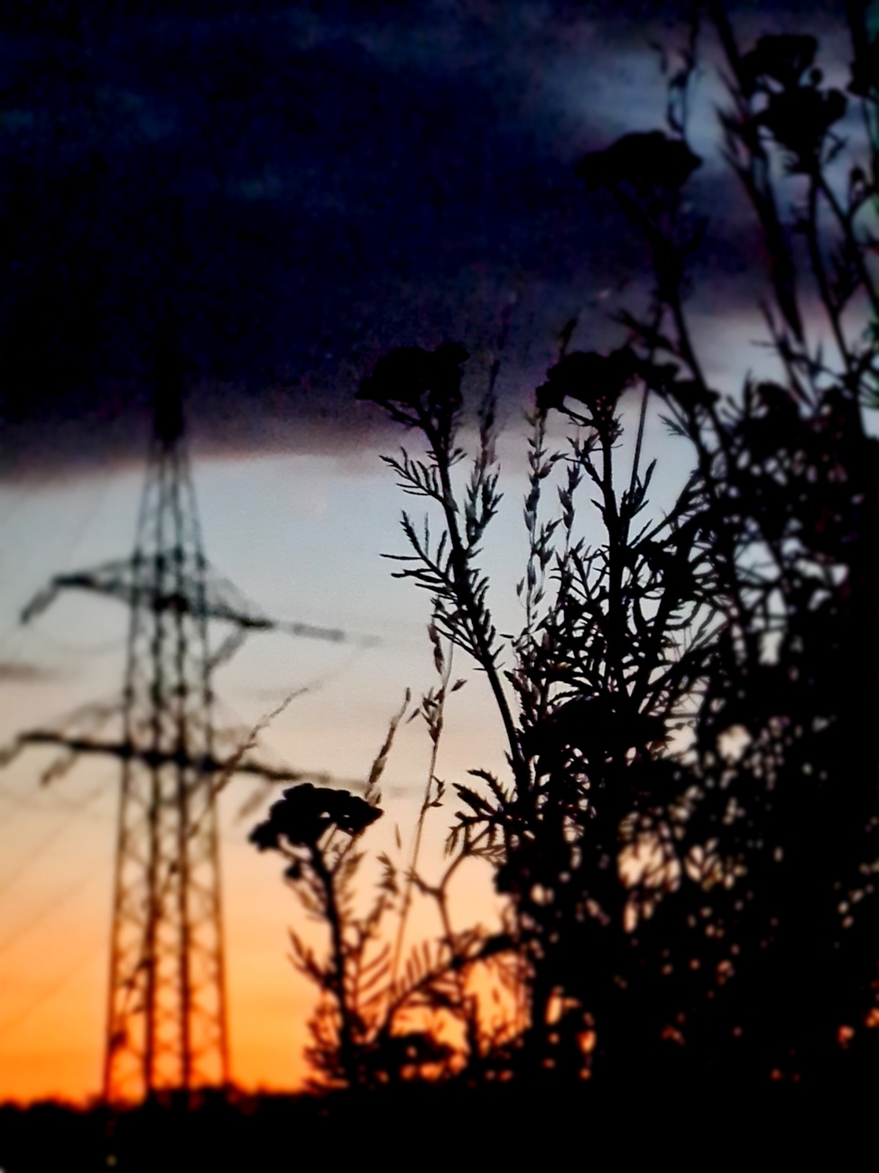 Sonnenuntergang, Natur und Technik... wunderschön!