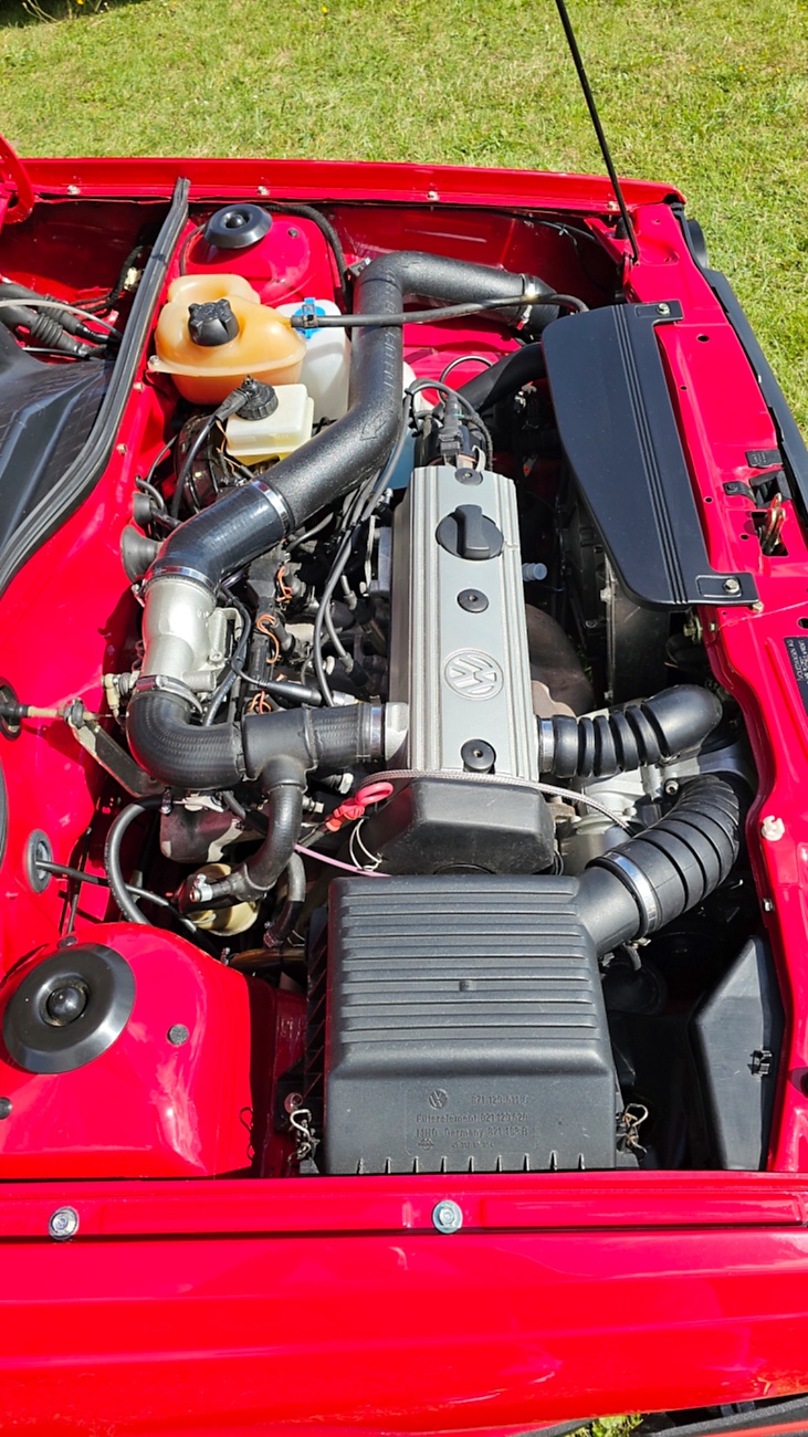 Am Sonntag, 23. August 2026, verwandelte sich der Flugplatz Rosenthal Airfield in Speichersdorf wieder in einen großen Treffpunkt für Fahrzeugfans. Bei „Performance On Wheels – Stage IX“ standen Fahrzeuge unterschiedlichster Art und Baujahre im Mittelpunkt. Bereits zum neunten Mal fand das markenoffene Treffen auf dem weitläufigen Flugplatzgelände statt.
Schon beim Rundgang zeigte sich die enorme Vielfalt: Oldtimer, US-Cars, Motorräder, aufwendig umgebaute Tuningfahrzeuge, Supersportwagen und Lastwagen standen teilweise unmittelbar nebeneinander. Vom liebevoll erhaltenen Klassiker bis zum modernen Fahrzeug mit auffälligen Umbauten gab es für die Besucher jede Menge zu entdecken und natürlich auch zahlreiche interessante Fotomotive.