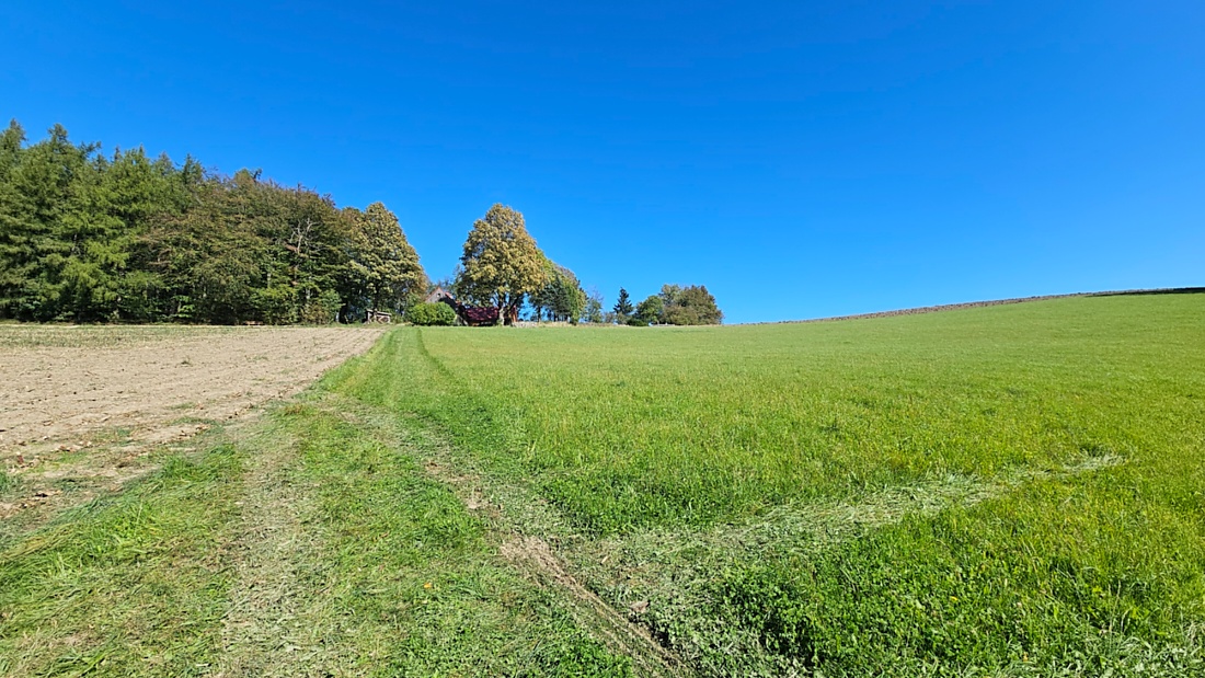 Spaziergang von Godas aus zum Armesberg hoch, bei wunderschönem Herbst-Wetter.
Das Auto parkten wir auf dem Parkplatz oberhalb von Godas, dann gings zu Fuß Richtung Armesberg.