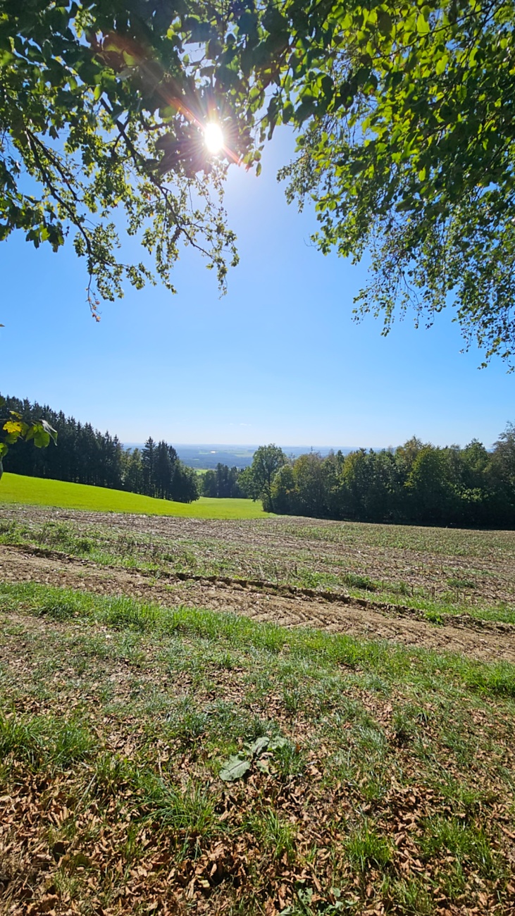 Spaziergang von Godas aus zum Armesberg hoch, bei wunderschönem Herbst-Wetter.
Das Auto parkten wir auf dem Parkplatz oberhalb von Godas, dann gings zu Fuß Richtung Armesberg.