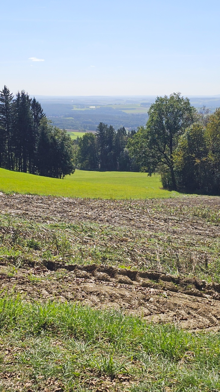 Spaziergang von Godas aus zum Armesberg hoch, bei wunderschönem Herbst-Wetter.
Das Auto parkten wir auf dem Parkplatz oberhalb von Godas, dann gings zu Fuß Richtung Armesberg.