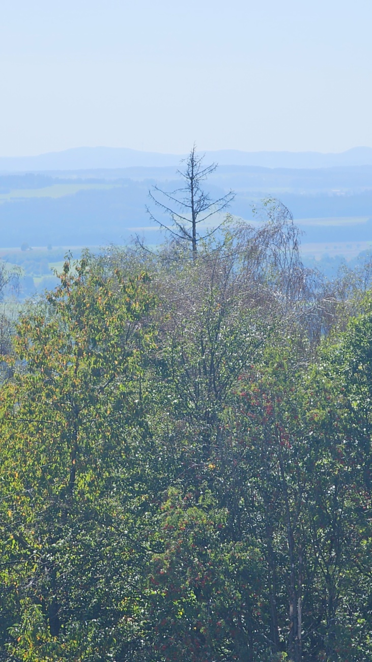 Spaziergang von Godas aus zum Armesberg hoch, bei wunderschönem Herbst-Wetter.
Das Auto parkten wir auf dem Parkplatz oberhalb von Godas, dann gings zu Fuß Richtung Armesberg.