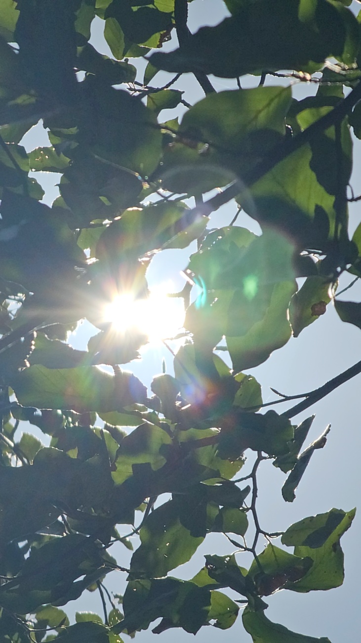 Spaziergang von Godas aus zum Armesberg hoch, bei wunderschönem Herbst-Wetter.
Das Auto parkten wir auf dem Parkplatz oberhalb von Godas, dann gings zu Fuß Richtung Armesberg.