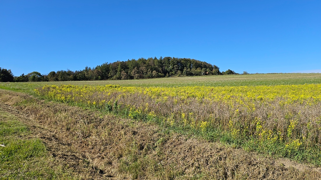 Spaziergang von Godas aus zum Armesberg hoch, bei wunderschönem Herbst-Wetter.
Das Auto parkten wir auf dem Parkplatz oberhalb von Godas, dann gings zu Fuß Richtung Armesberg.
