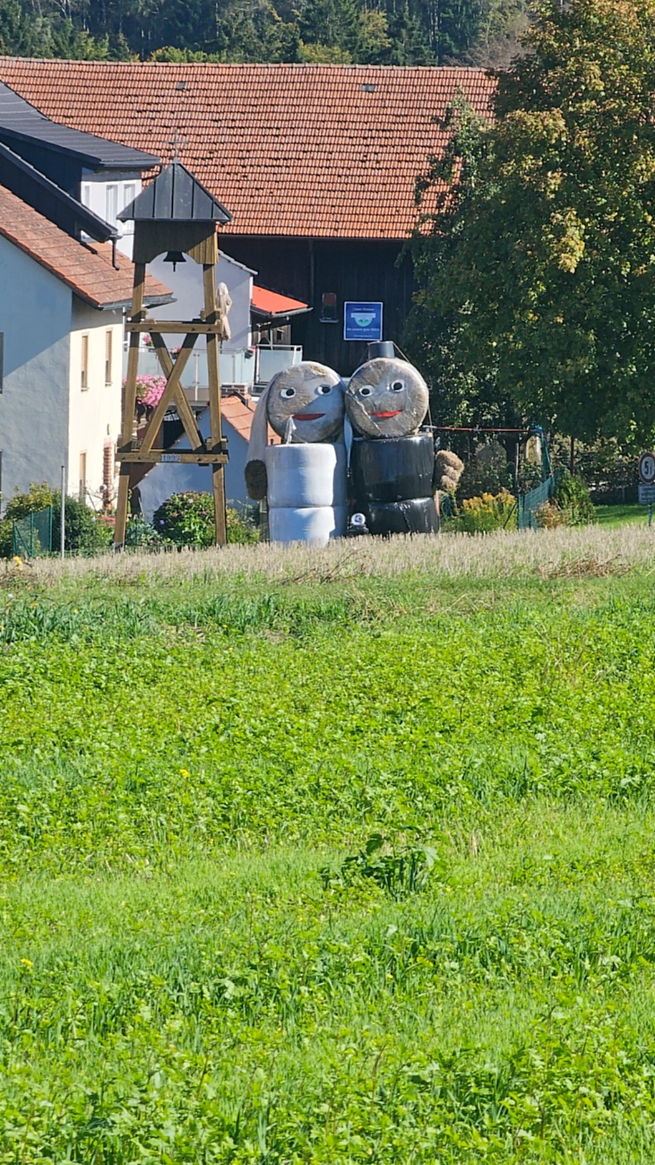Spaziergang von Godas aus zum Armesberg hoch, bei wunderschönem Herbst-Wetter.
Das Auto parkten wir auf dem Parkplatz oberhalb von Godas, dann gings zu Fuß Richtung Armesberg.