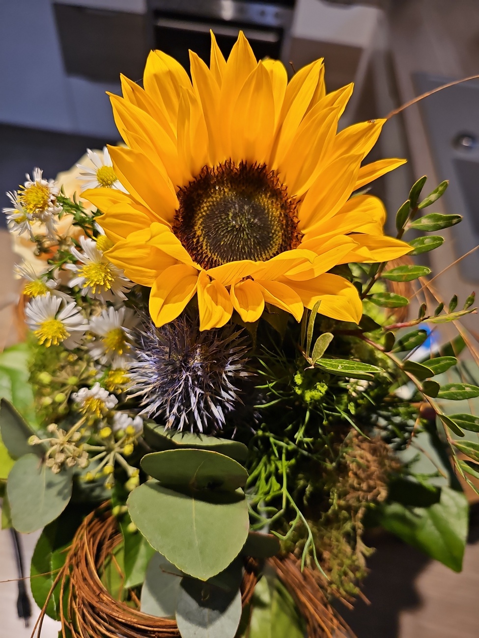 Sonnenblume und Distel als Duo: Fröhlichkeit trifft auf Widerstandskraft – süß und stachelig zugleich.