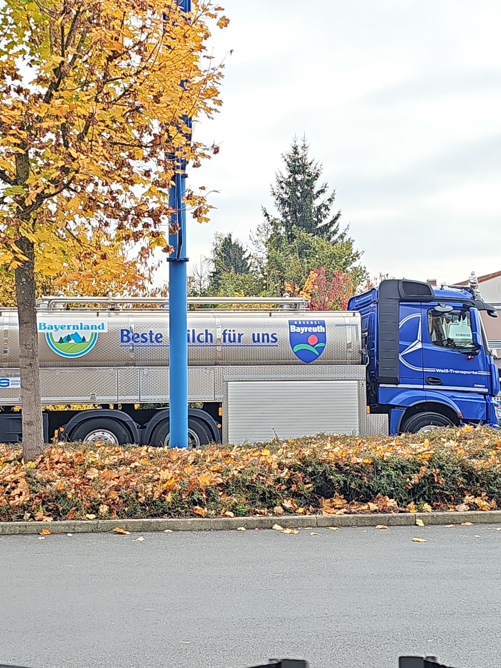 Zwischen buntem Herbstlaub parkt ein auffälliger Milchsammelwagen, seitlich in großen Lettern bedruckt mit „Beste Milch für uns“. Der silberne Tankauflieger gehört zu Bayernland, einer bekannten Molkereigenossenschaft, die in Oberfranken seit Jahrzehnten Milchprodukte verarbeitet. Die Beschriftung weist zusätzlich auf die Käserei Bayreuth hin – ein Standort, der eng mit der Milchverarbeitung in der Region verbunden ist und von regionalen Bauern beliefert wird. 

Solche Tankwagen sind auf dem Land ein alltäglicher Anblick: Sie holen die Rohmilch direkt bei den Höfen ab und bringen sie frisch zur Weiterverarbeitung. Gerade hier zwischen Kemnath und Bayreuth spürt man die enge Verbindung zwischen Landwirtschaft und regionalem Lebensmittelhandwerk. Während draußen die Herbstfarben leuchten, rollt der Alltag der Milcherzeugung, wie er für viele Familien in der Oberpfalz und darüber hinaus zum festen Bestandteil gehört.