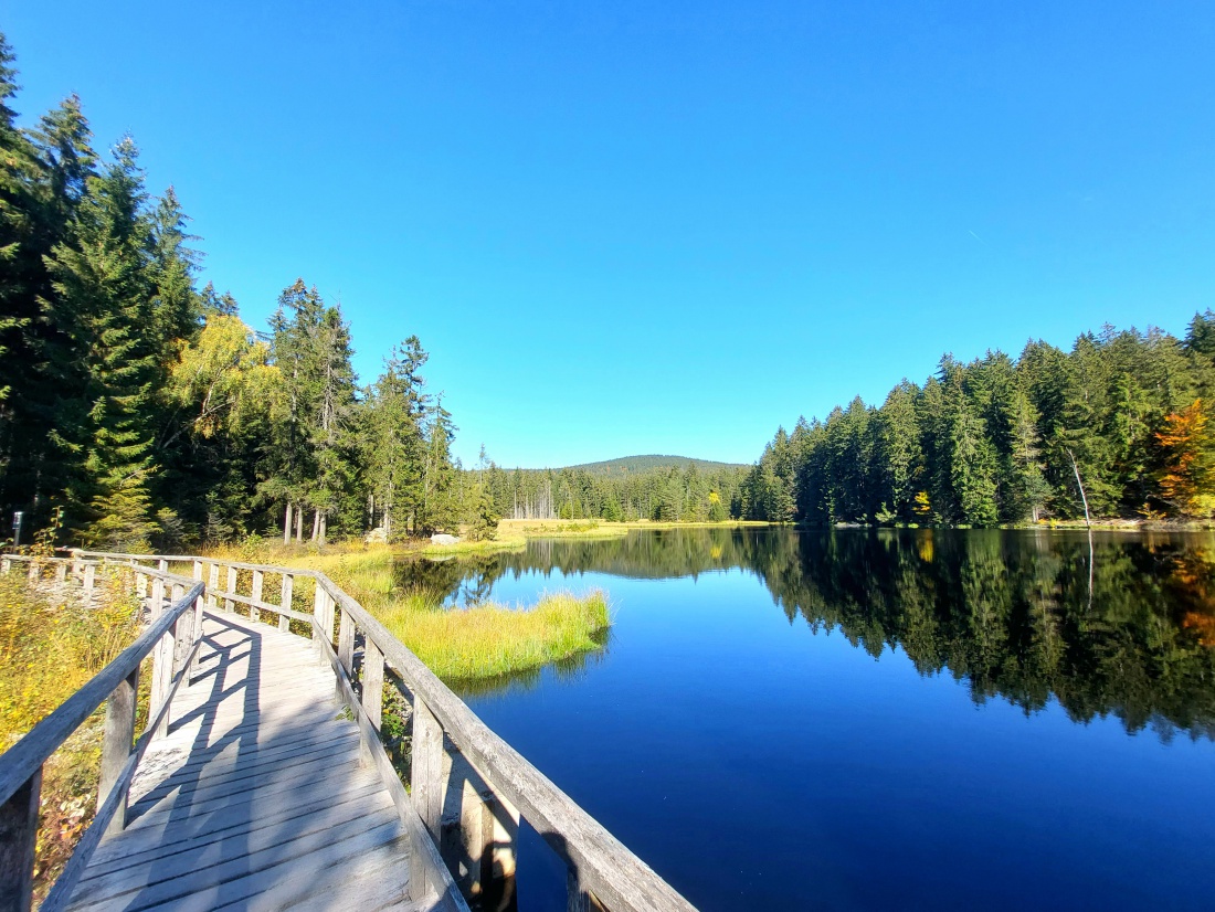 Foto: Martin Zehrer - Dieses Moorgebiet befindet sich gleich neben dem Fichtelsee.  