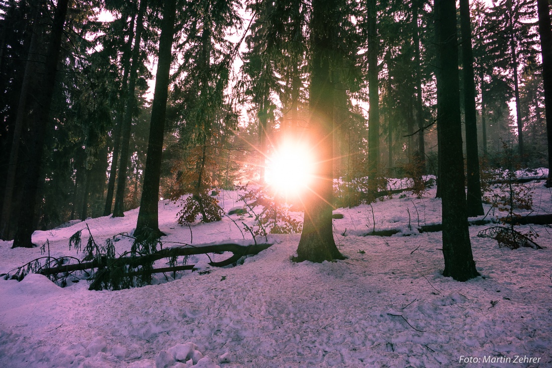 Foto: Martin Zehrer - Winterwanderung im Steinwald... nur ganz knapp findet die Sonne ihren Weg durch die Bäume! 