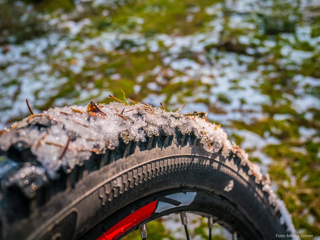 Foto: Martin Zehrer - Im Wald liegt noch ein wenig Schnee... 24. März 2018 