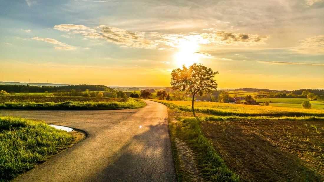 Foto: Martin Zehrer - Fast Sommer auf dem Läufer zwischen Kemnath und Kötzersdorf 