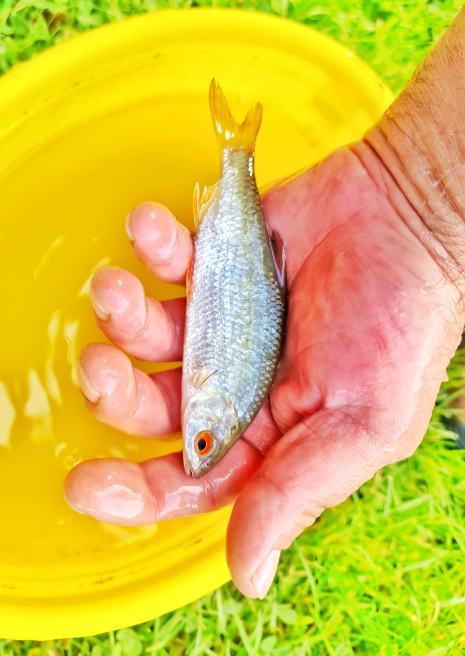 Foto: Jennifer Müller - Lieber den Fisch in der Hand... :-) 