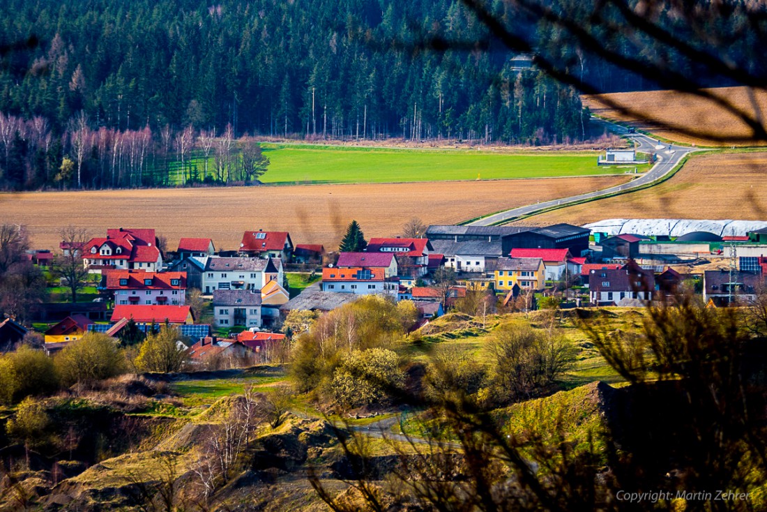 Foto: Martin Zehrer - Frühling auf dem Armesberg. Erste Hummeln fliegen durch die Gegend. Schmetterlinge lassen sich entdecken. Grüne kleine Pflanzen drücken mit aller Kraft durch das Herbstla 