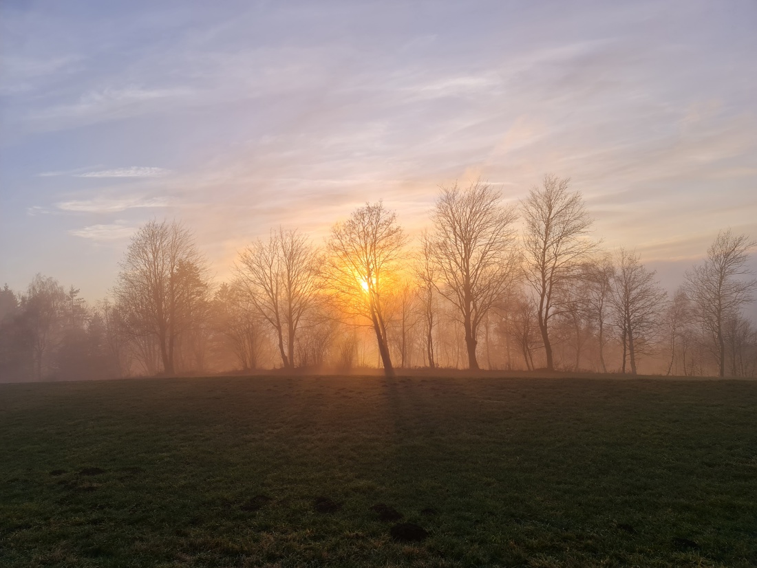 Foto: Jennifer M&uuml;ller - Heute hatten wir richtig Gl&uuml;ck! Die Sonne hat sich gezeigt... f&uuml;r einen kurzen Augenblick. Die Natur hat uns wunderbare Momente geschenkt.  