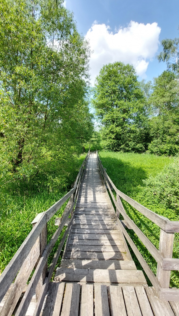 Foto: Martin Zehrer - Ein Steg ins Natur-Paradies, kann man entlanglaufen an der Tauritzmühle... 